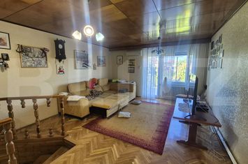 Vilă - 12 camere de vanzare SATU MARE - Satu Mare anunturi imobiliare Satu Mare