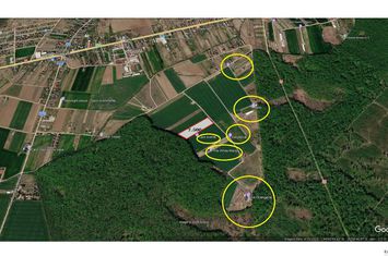 Teren Intravilan de vanzare CIOLPANI - Bucuresti anunturi imobiliare Bucuresti