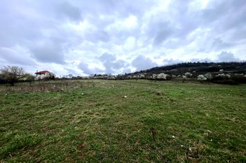 Teren de vanzare SIBIU - Sibiu anunturi imobiliare Sibiu