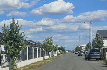 Casă cochetă pe parter în Tunari – confort, eficiență și liniște anunturi imobiliare Bucuresti