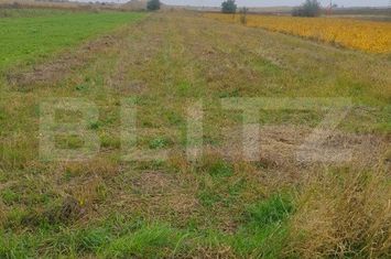 Teren de vanzare RADAUTI - Suceava anunturi imobiliare Suceava