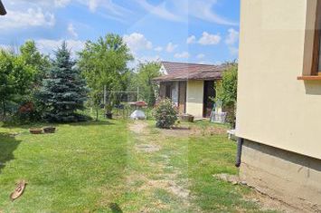 Vilă - 4 camere de vanzare SANTIONLUNCA - Covasna anunturi imobiliare Covasna