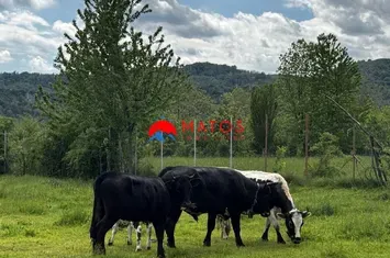 Teren Intravilan de vanzare BREBU - Prahova anunturi imobiliare Prahova