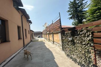 Vanzare - Proprietate cu Potential-Locuinta si Business anunturi imobiliare Bucuresti