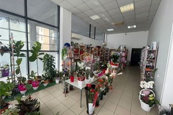 Spațiu comercial de vanzare MICRO 17 - Satu Mare anunturi imobiliare Satu Mare