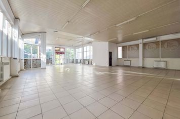 Spațiu comercial de inchiriat DACIA - Constanta anunturi imobiliare Constanta