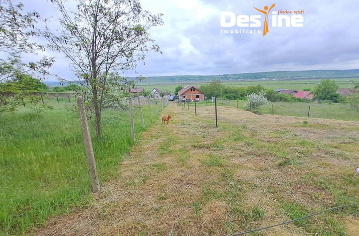 Teren de vanzare LETCANI - Iasi anunturi imobiliare Iasi