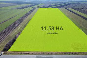 Teren folosinta gratuita | Oportunitate investitie | Seitin | Nadlac anunturi imobiliare Arad