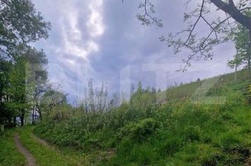 Teren de vanzare CAMPENI - Alba anunturi imobiliare Alba