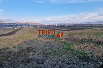 Teren Intravilan de vanzare BARABANT - Alba anunturi imobiliare Alba