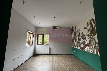 Casa Zona Dorobanti | Floreasca | Curte anunturi imobiliare Bucuresti