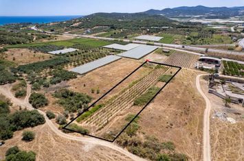 Două terenuri 4.736 mp și 925 mp în Nea Peramos anunturi imobiliare Grecia