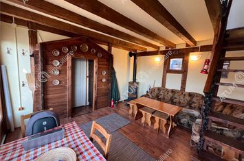 Vilă - 2 camere de vanzare RASINARI - Sibiu anunturi imobiliare Sibiu