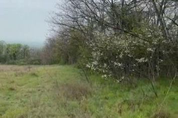 Teren de vanzare CERNAVODA - Constanta anunturi imobiliare Constanta