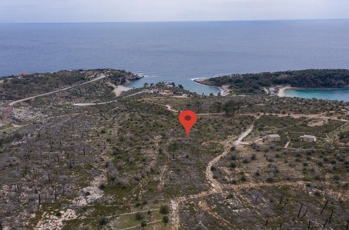 Teren construibil 5034 mp în Aliki, Thassos anunturi imobiliare Grecia