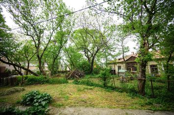 Teren Intravilan de vanzare IASI - Iasi anunturi imobiliare Iasi