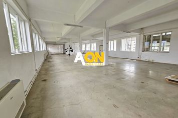 Spatiu industrial pentru productie sau depozitare, 1600 mp, Sebes anunturi imobiliare Alba
