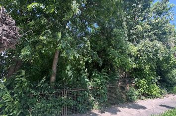Teren de vanzare RADAUTI - Suceava anunturi imobiliare Suceava