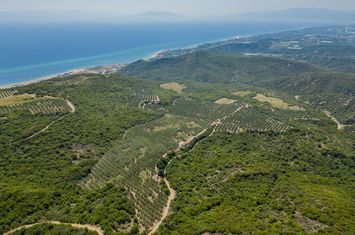 Teren 16.000 mp, Kariani (Kavala) anunturi imobiliare Grecia