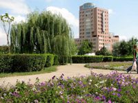 Jocuri imobiliare murdare: un parc din centrul Iaşului este distrus, pe motiv că… nu apare în PUG!