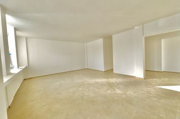 Spațiu comercial de inchiriat IASI - Iasi anunturi imobiliare Iasi