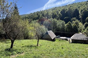 Teren de vanzare Rachitele | Investitie | Comision 0% anunturi imobiliare Cluj