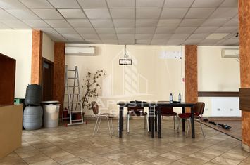 Spatiu comercial,  zona Fortuna anunturi imobiliare Arad