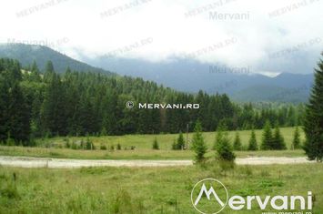 Teren Intravilan de vanzare PREDEAL - Brasov anunturi imobiliare Brasov