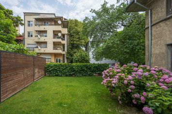 Vila individuala Primaverii anunturi imobiliare Bucuresti
