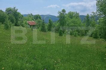 Teren de vanzare SCARISOARA - Alba anunturi imobiliare Alba