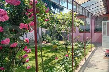 Casă - 4 camere de vanzare BLAJ - Alba anunturi imobiliare Alba