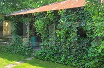 Casă - 5 camere de vanzare DUDOVICESTI - Dolj anunturi imobiliare Dolj