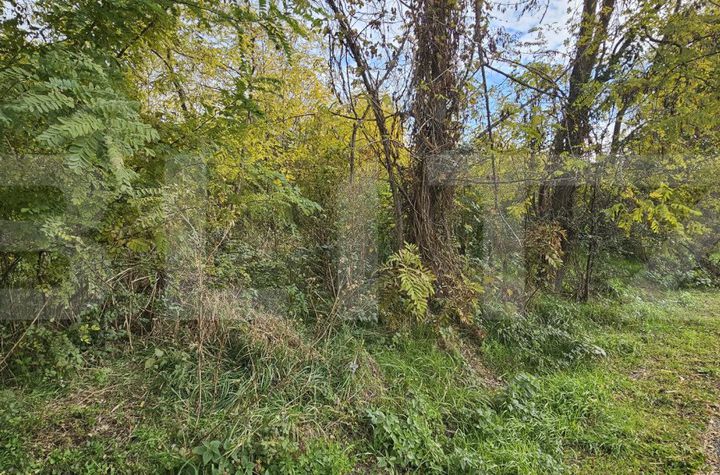 Teren de vanzare GORGOTA - Dambovita anunturi imobiliare Dambovita