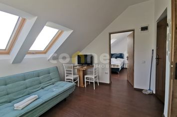 Vilă - 7 camere de inchiriat CLUJ-NAPOCA - Cluj anunturi imobiliare Cluj