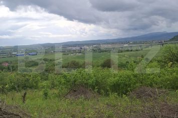 Teren de vanzare TURDA - Cluj anunturi imobiliare Cluj