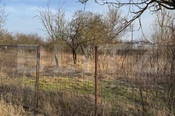 Casă - 3 camere de vanzare SCHITU DUCA - Iasi anunturi imobiliare Iasi