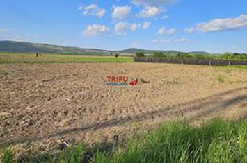 Teren Intravilan de vanzare CENTRAL - Alba anunturi imobiliare Alba