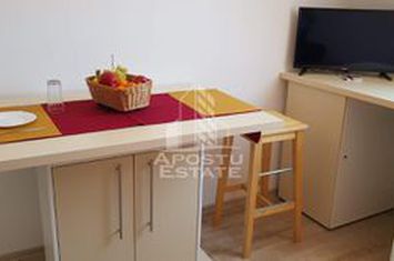 Garsoniera in bloc de apartamente, zona Lipovei anunturi imobiliare Timis