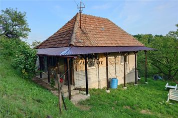 Casă - 3 camere de vanzare VALISOARA - Hunedoara anunturi imobiliare Hunedoara