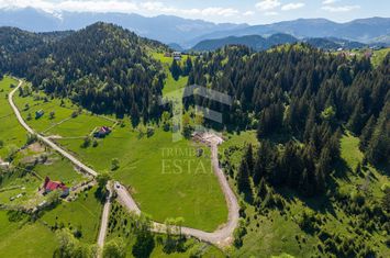 Fundata-Teren de vanzare 15,771 mp intravilan+extravilan+padure anunturi imobiliare Brasov