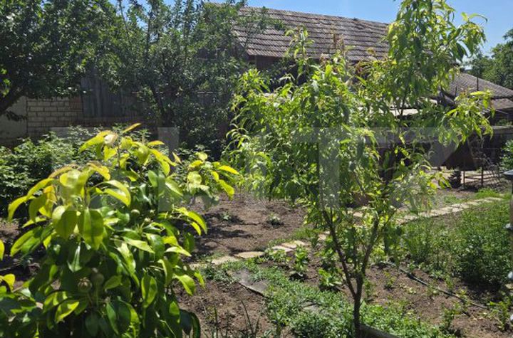 Casă - 3 camere de vanzare TURDA - Cluj anunturi imobiliare Cluj
