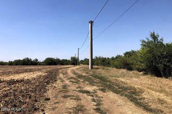Moara Vlasiei - langa Padurea Biglaru, 11.884 mp, deschidere 40 ml anunturi imobiliare Bucuresti