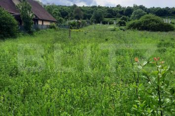 Teren de vanzare CIURILA - Cluj anunturi imobiliare Cluj