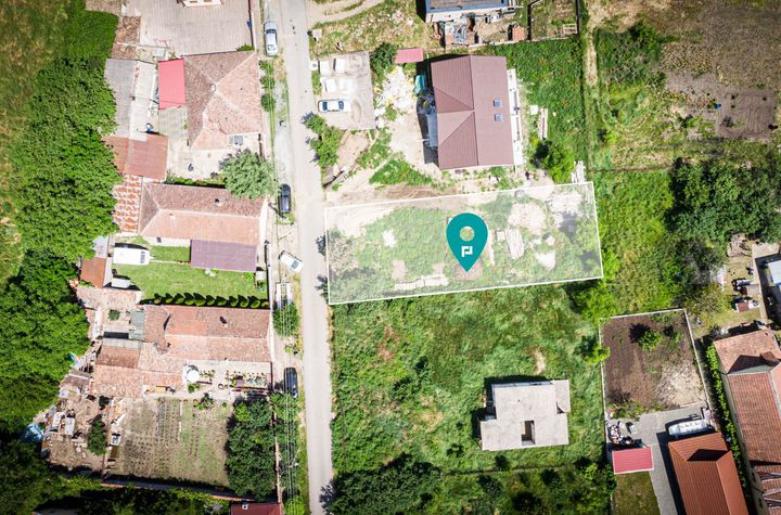 Loc de casa de 539 mp în Vladimirescu anunturi imobiliare Arad
