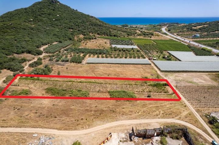 Două terenuri 4.736 mp și 925 mp în Nea Peramos anunturi imobiliare Grecia