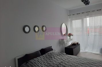 Apartament 2 Camere - Timisoara - Valea Larga - Bloc nou anunturi imobiliare Bucuresti
