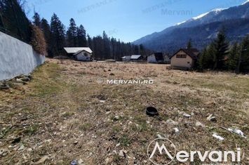Teren Intravilan de vanzare BUSTENI - Prahova anunturi imobiliare Prahova