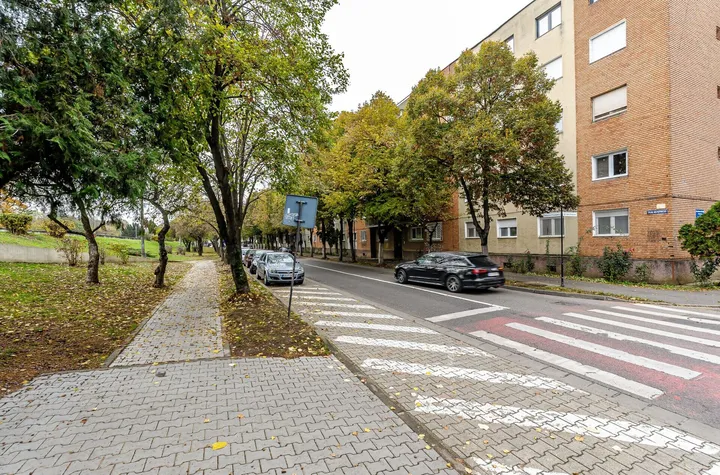 Rezervat 3 camere, etaj 1, vedere spre Mureș strada Praporgescu anunturi imobiliare Arad