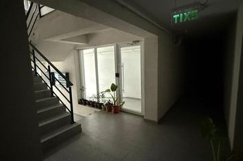 Comision 0 Apartament 2 camere decomandat, parter – Berceni anunturi imobiliare Bucuresti