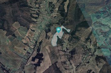 Teren arabil de 40 hectare în Secaș, Timiș anunturi imobiliare Timis